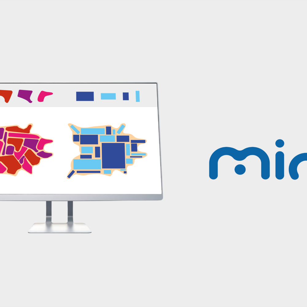 Software+Mind Software+Mind