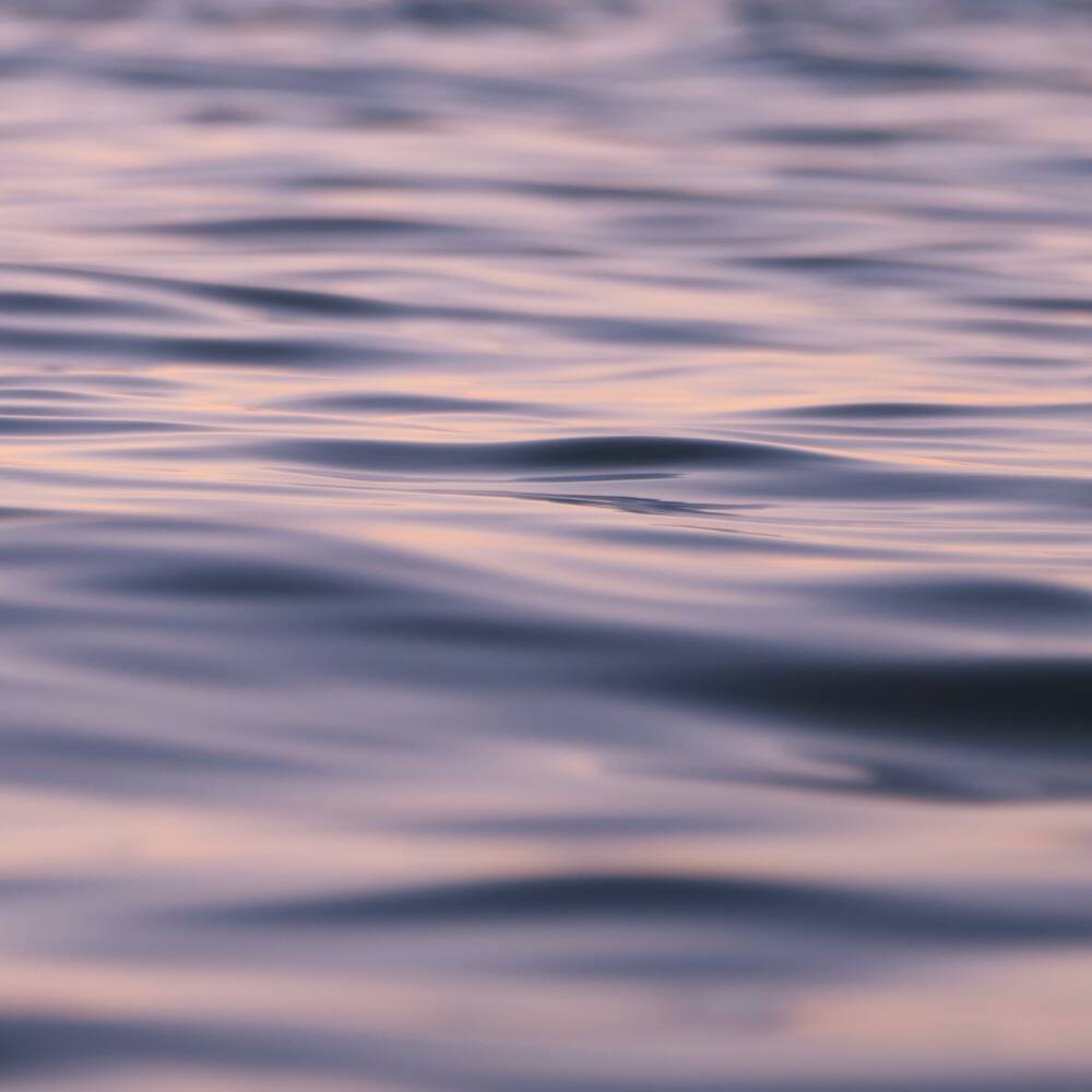sea-7259914 sea-7259914