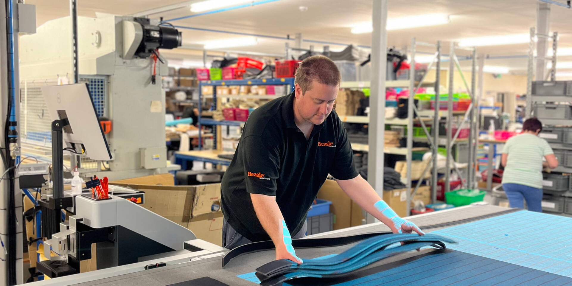 Beagle-Orthopaedic-Zund-Phil