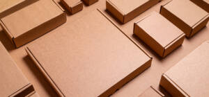 AdobeStock_276511510