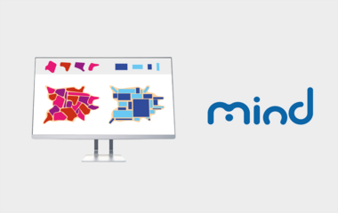 Software+Mind Software+Mind