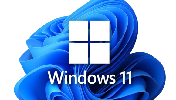 win11