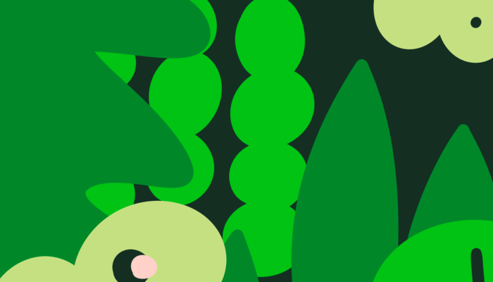 Evertreen6 Evertreen6