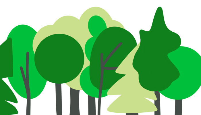 Evertreen7 Evertreen7