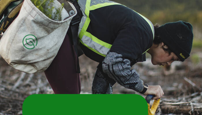 Evertreen2 Evertreen2