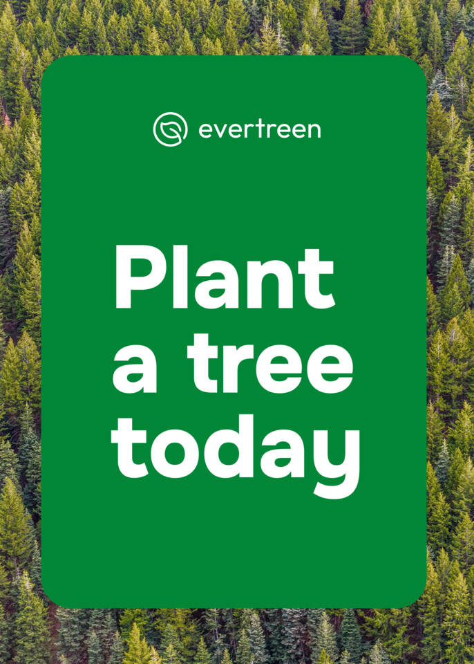 Evertreen